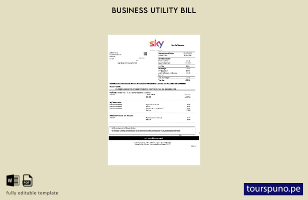 lista para imprimir plantilla de estado de cuenta de servicios públicos de Sky B